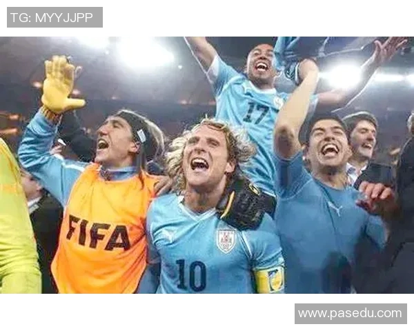 2010年乌拉圭足球明星的辉煌历程与传奇时刻回顾