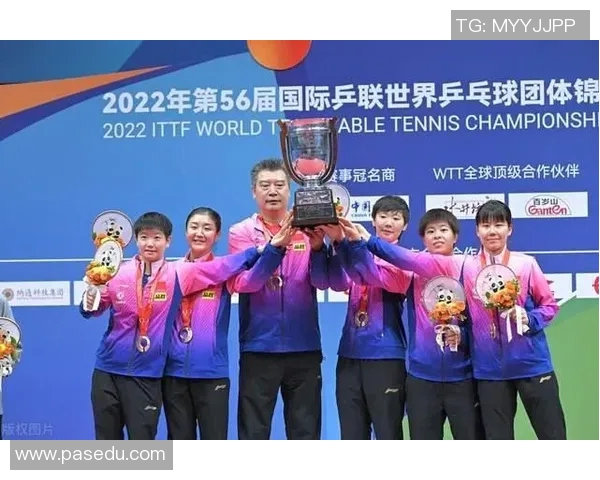 上海乒乓球队团队协作引发热议争议背后的默契与挑战分析