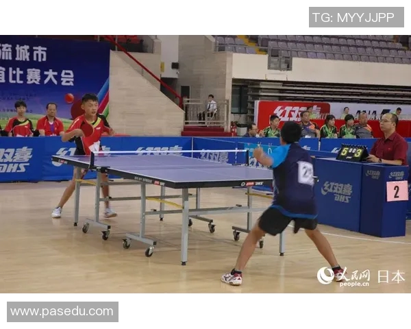 上海乒乓球队的拼搏之路与欧锦赛荣耀背后的故事