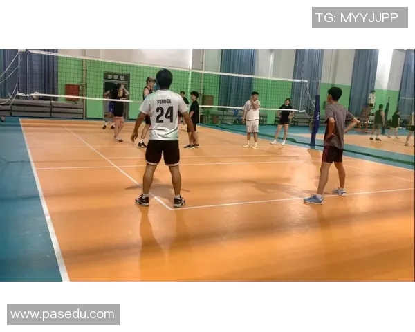 上海排球队力压群雄创排球力量新高引发热议