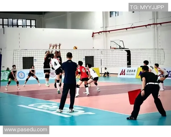 上海排球队在全国排球耐力排行榜中荣获第六名的佳绩引发关注