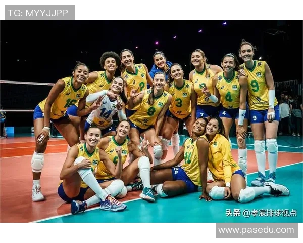 上海排球队战术实力分析排球战术排行榜揭晓第六名位置