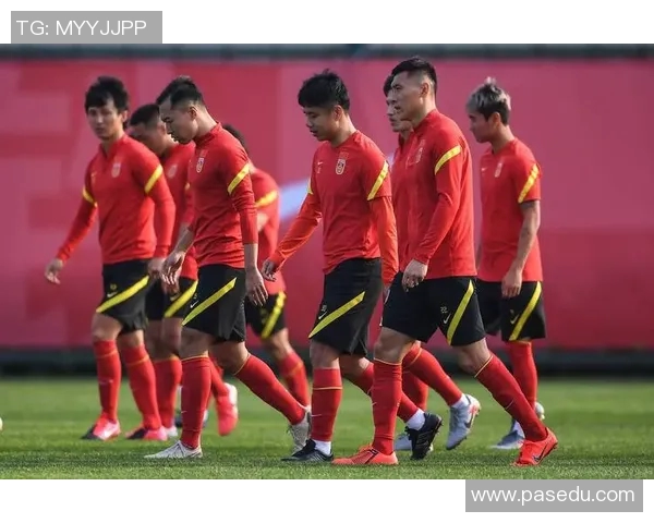 上海足球队配合引发热议球迷与专家各执己见探讨争议背后的真相