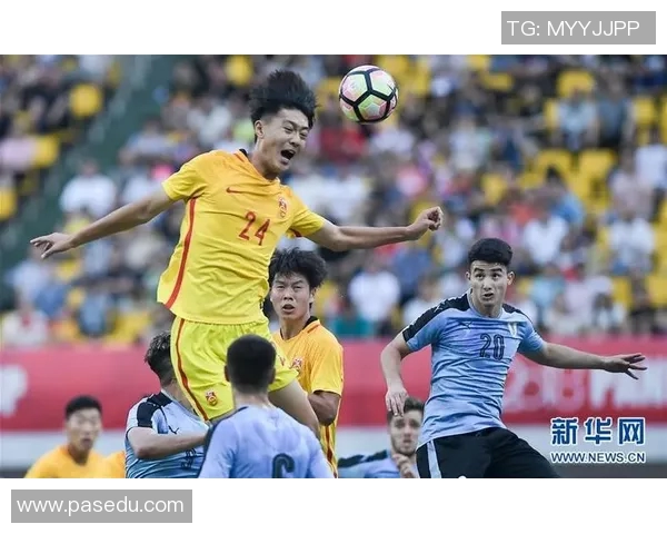 深度对话刘强谈足球人生与职业生涯的交织与启示